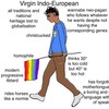 ymphcwqg2wo11