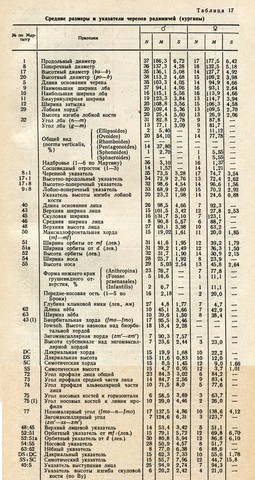 радимичи