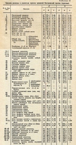 Кривичи костромской группы