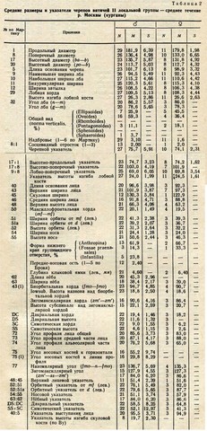 вятичи второй группы